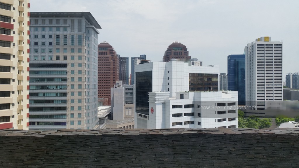 Elizabeth Tower (D9), Apartment #125659092